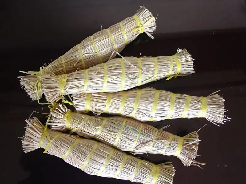 wanderlust tips ve binh dinh dung quen thuong thuc mon tre tru danh 3