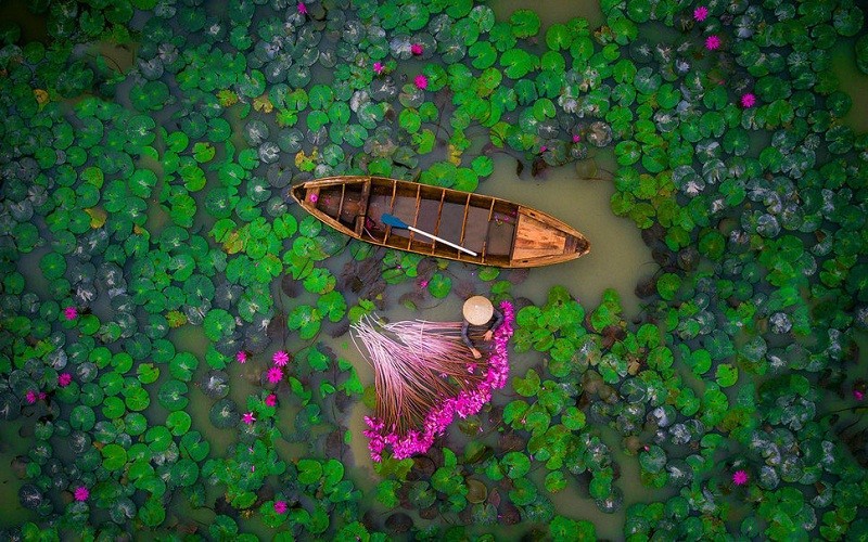 Ngẩn ngơ trước 12 bức ảnh đẹp nhất năm 2017 chụp từ drone