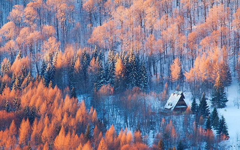 wanderlust tips ngan ngo voi phong canh tuyet dep noi bien gioi ba lan slovakia 1