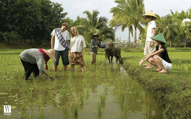 Xu hướng: Du lịch như người bản xứ