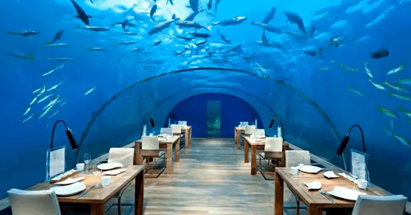 wanderlust tips 10 nha hang tuong nhat gioi danh cho thuc khach ua mao hiem 5