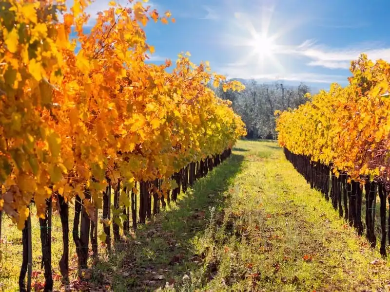 wanderlust tips 15 dia diem ly tuong de ngam ve dep tuyet cua mua thu 8