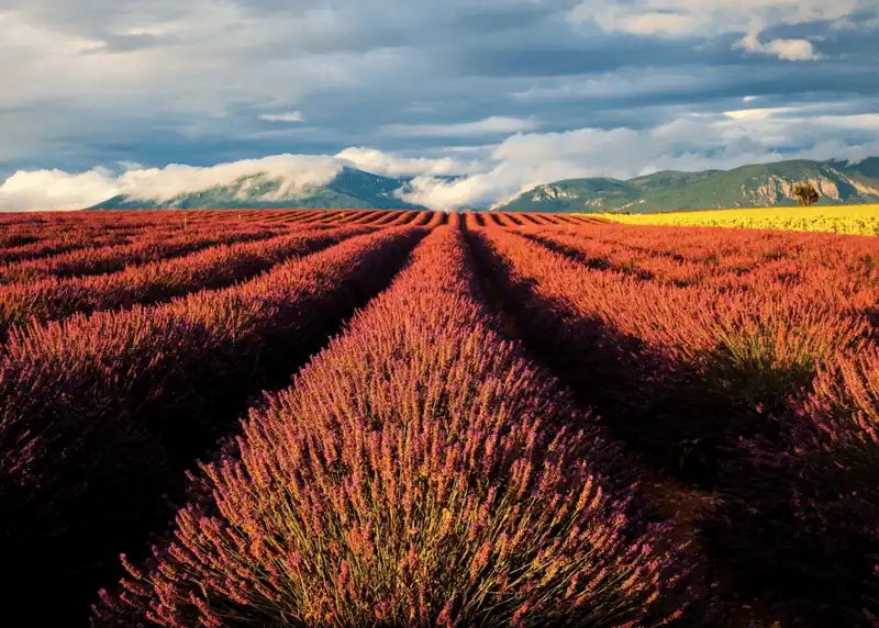 wanderlust tips 16 dia diem lich su va thang canh ban nen den mot lan trong doi 7