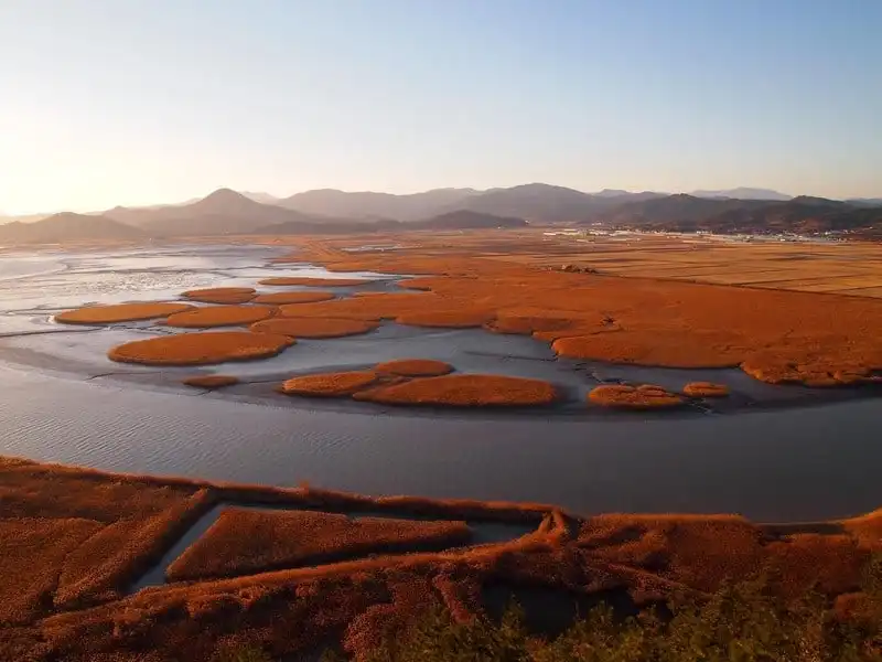 Ngẩn ngơ ngắm lá vàng lá đỏ ở 5 điểm đến mùa thu tại Hàn Quốc 9 wanderlust tips 5 diem den tuyet voi tai han quoc khi thu ve 5