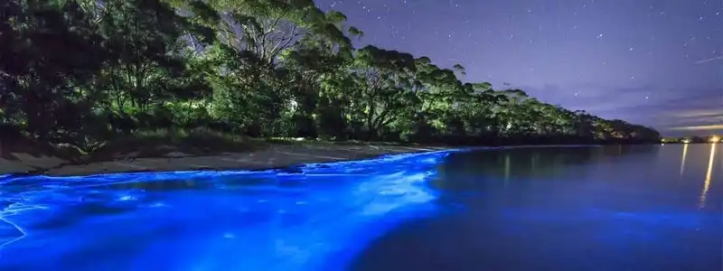 Chiêm ngưỡng vẻ đẹp huyền ảo của 5 bờ biển phát quang vào ban đêm 7 wanderlust tips chiem nguong ve dep huyen ao cua 5 bo bien phat quang vao ban dem 4