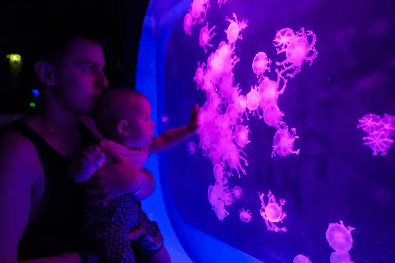 wanderlust tips chuyen du lich chau cua cap sinh doi 4 thang tuoi 2