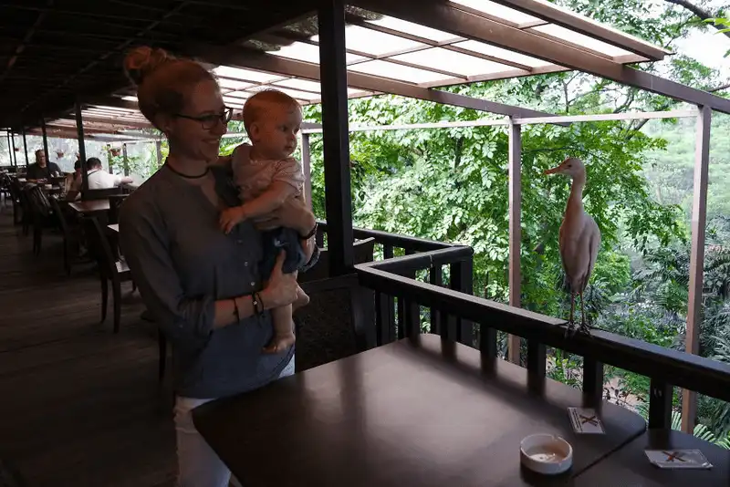 wanderlust tips chuyen du lich chau cua cap sinh doi 4 thang tuoi 32