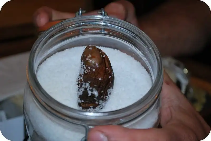 wanderlust tips cocktail ngon chan nguoi thuc uong ki di o canada 4