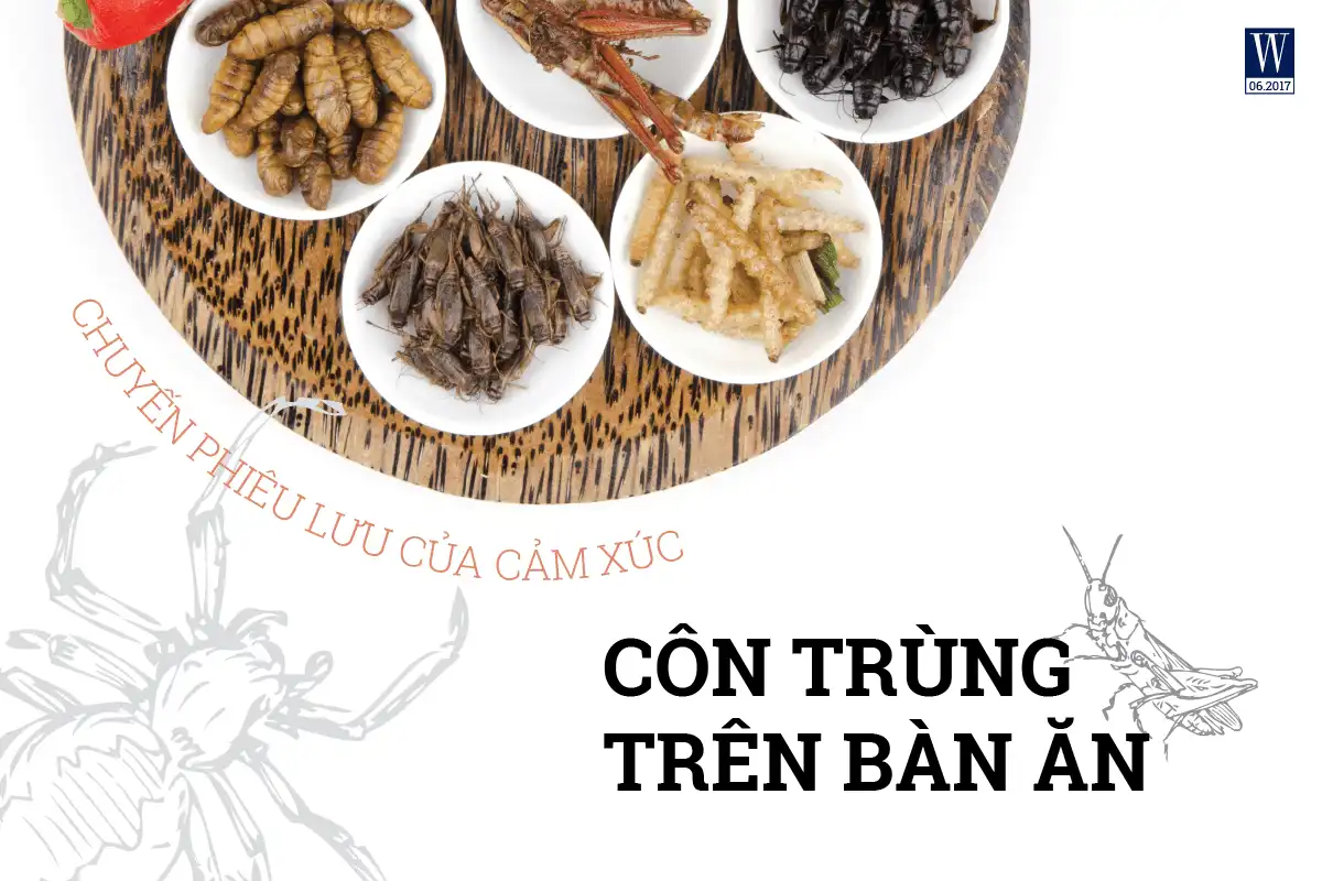 wanderlust tips con trung tren ban an chuyen phieu luu cua cam xuc 1