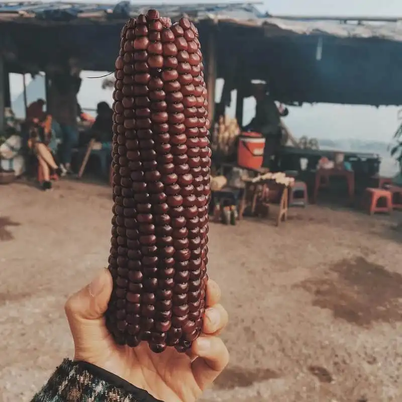 Đèo Đá Trắng – Vẻ đẹp ngỡ trời Âu ở Hòa Bình 13 wanderlust tips deo da trang ve dep ngo troi au o hoa binh 7