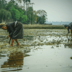 wanderlust tips di tim nhung huyen thoai bi lang quen o thung lung ziro 0