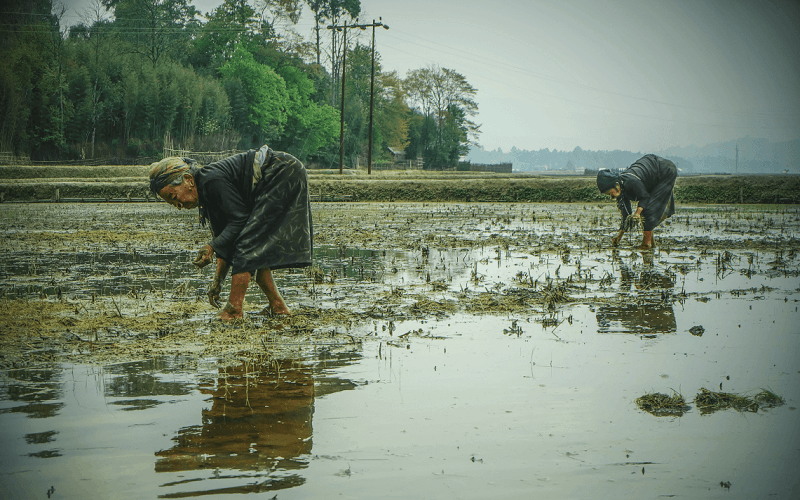 wanderlust tips di tim nhung huyen thoai bi lang quen o thung lung ziro 0