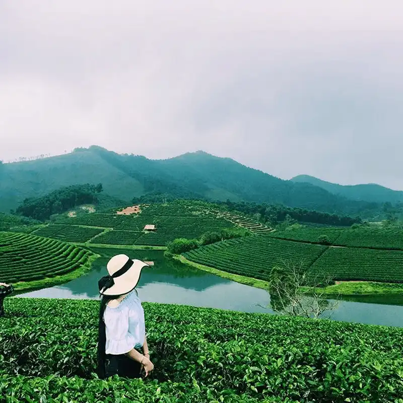 Lạc vào xứ đảo chè xanh Thanh Chương, Nghệ An 13 wanderlust tips lac vao xu dao che xanh thanh chuong nghe 1
