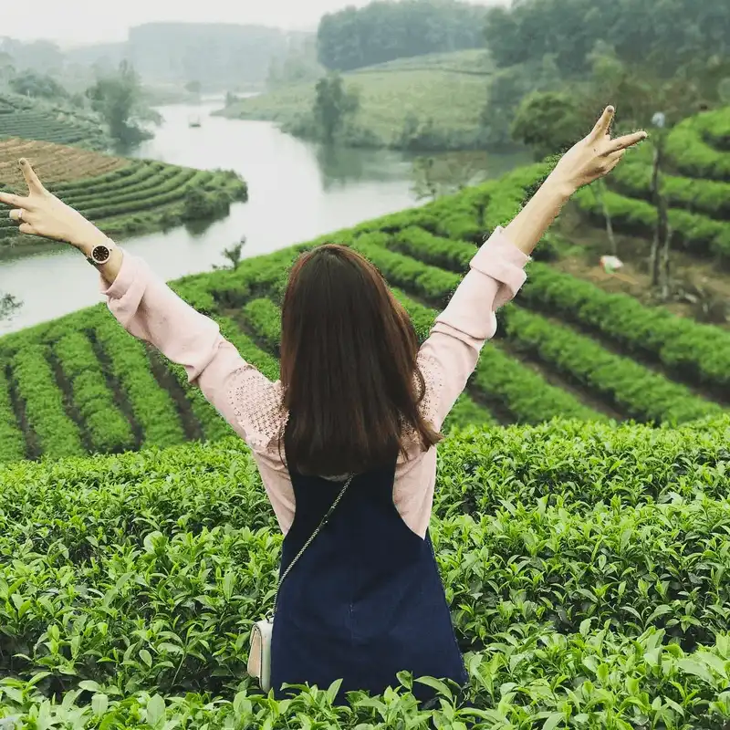 Lạc vào xứ đảo chè xanh Thanh Chương, Nghệ An 11 wanderlust tips lac vao xu dao che xanh thanh chuong nghe 10