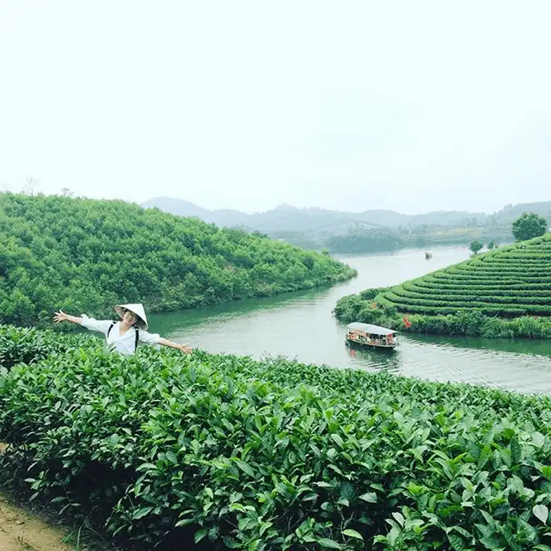 Lạc vào xứ đảo chè xanh Thanh Chương, Nghệ An 15 wanderlust tips lac vao xu dao che xanh thanh chuong nghe 2