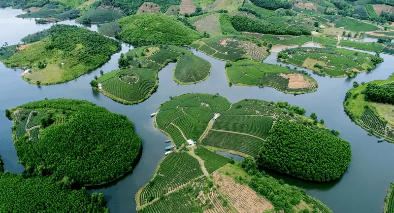 Lạc vào xứ đảo chè xanh Thanh Chương, Nghệ An 5 wanderlust tips lac vao xu dao che xanh thanh chuong nghe 7