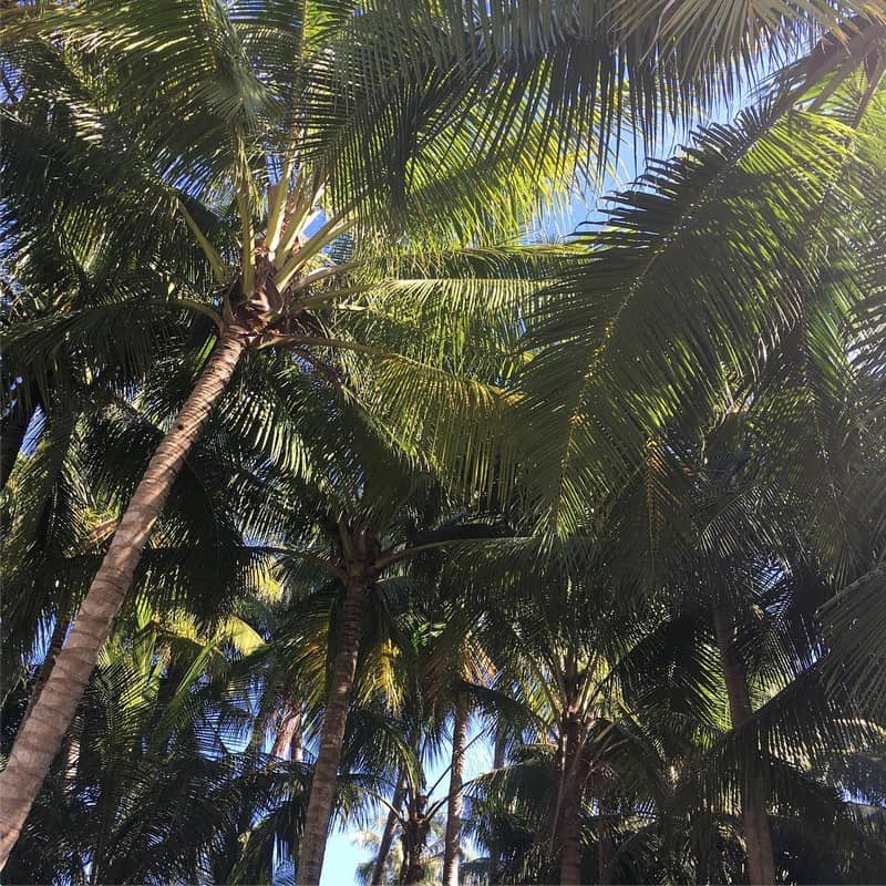 Rủ nhau đi trốn ở Tam Hải - đảo dừa xinh đẹp của Quảng Nam 7 wanderlust tips ru nhau di tron o tam hai dao dua xinh dep cua quang nam 1