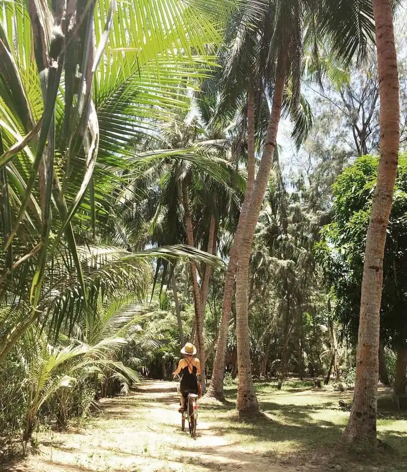 Rủ nhau đi trốn ở Tam Hải - đảo dừa xinh đẹp của Quảng Nam 18 wanderlust tips ru nhau di tron o tam hai dao dua xinh dep cua quang nam 11