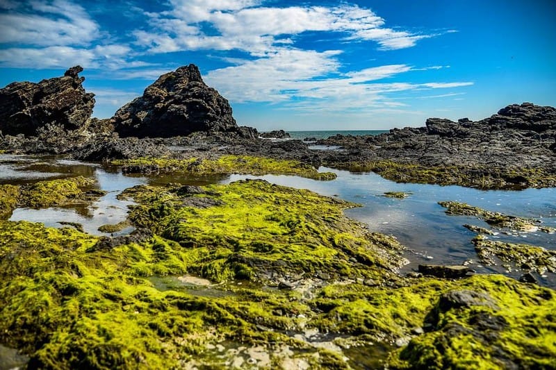 Rủ nhau đi trốn ở Tam Hải - đảo dừa xinh đẹp của Quảng Nam 12 wanderlust tips ru nhau di tron o tam hai dao dua xinh dep cua quang nam 8