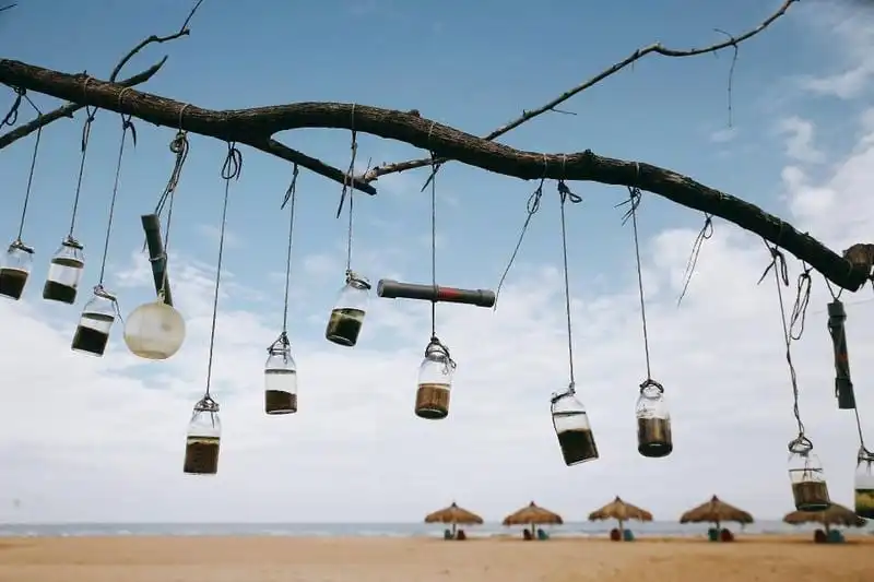 "Thiên đường" cắm trại xinh xắn chỉ cách Sài Gòn 130km 10 wanderlust tips thien duong cam trai xinh xan chi cach sai gon 130km 10