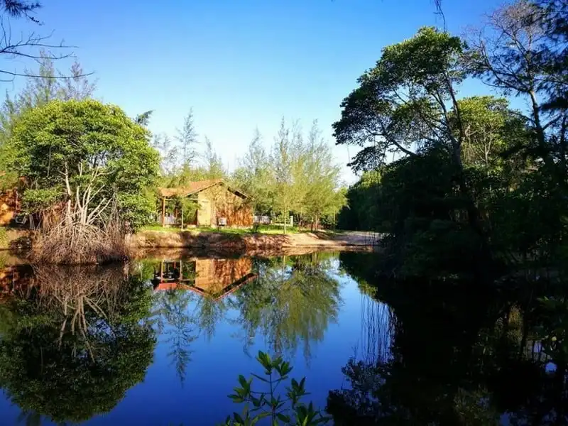 "Thiên đường" cắm trại xinh xắn chỉ cách Sài Gòn 130km 5 wanderlust tips thien duong cam trai xinh xan chi cach sai gon 130km 2