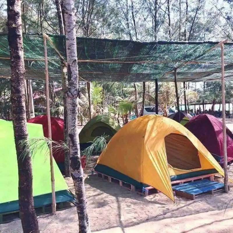 "Thiên đường" cắm trại xinh xắn chỉ cách Sài Gòn 130km 8 wanderlust tips thien duong cam trai xinh xan chi cach sai gon 130km 7