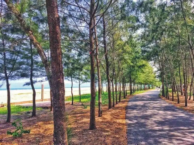 "Thiên đường" cắm trại xinh xắn chỉ cách Sài Gòn 130km 9 wanderlust tips thien duong cam trai xinh xan chi cach sai gon 130km 8