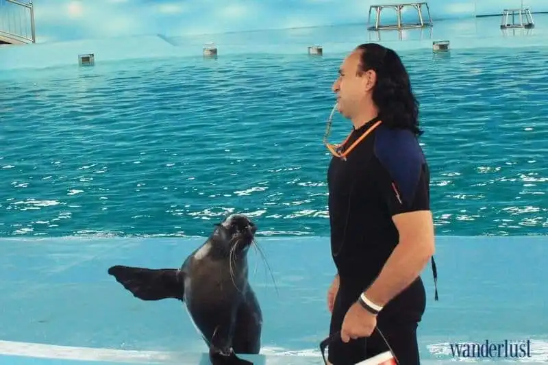 Đến Baara Land trải nghiệm cảm giác tắm biển ngay giữa Hà Nội 11 wanderlust tips toi baara land trai nghiem cam giac tam bien ngay giua ha noi 10