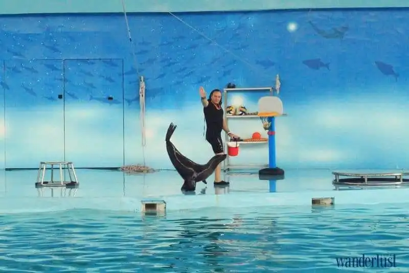 Đến Baara Land trải nghiệm cảm giác tắm biển ngay giữa Hà Nội 10 wanderlust tips toi baara land trai nghiem cam giac tam bien ngay giua ha noi 11