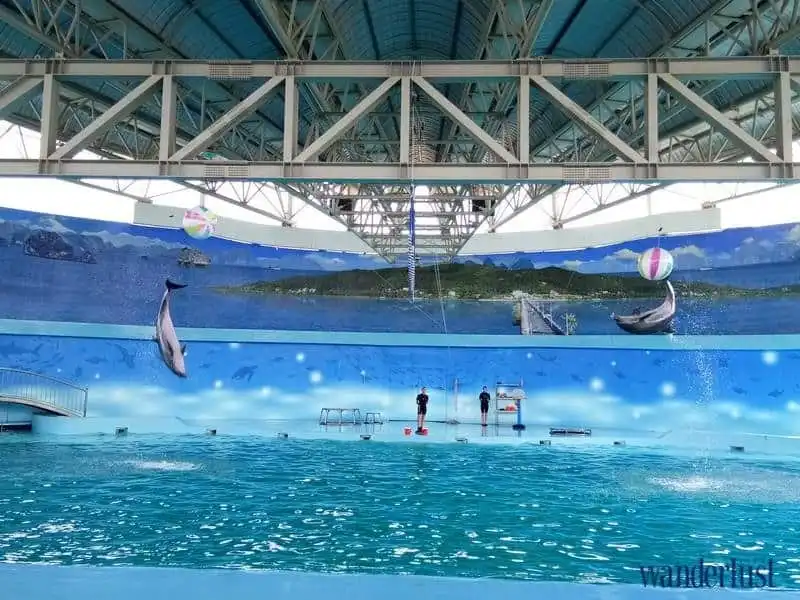 Đến Baara Land trải nghiệm cảm giác tắm biển ngay giữa Hà Nội 13 wanderlust tips toi baara land trai nghiem cam giac tam bien ngay giua ha noi 15