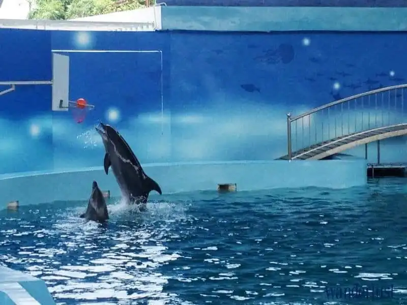 Đến Baara Land trải nghiệm cảm giác tắm biển ngay giữa Hà Nội 12 wanderlust tips toi baara land trai nghiem cam giac tam bien ngay giua ha noi 3