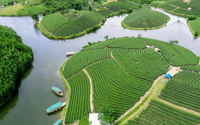 Lạc vào xứ đảo chè xanh Thanh Chương, Nghệ An 5 wanderlust tips lac vao xu dao che xanh thanh chuong nghe 0