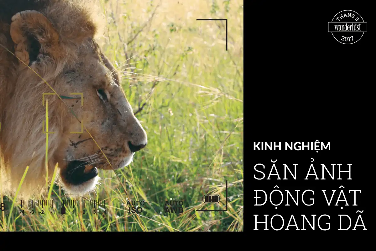 Tạp chí du lịch Wanderlust Tips tháng 8/2017: Trời, biển và bình yên 10 tap chi du lich wanderlust tips thang 8 2017 troi bien va binh yen 4