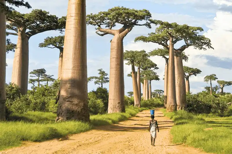 wanderlust tips 10 dia diem ban nen den truoc khi chung bien mat mai mai 5