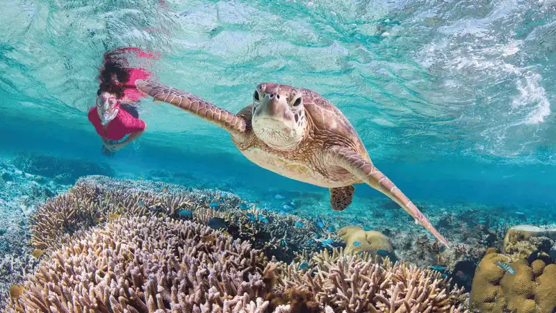 wanderlust tips 10 dia diem ban nen den truoc khi chung bien mat mai mai 6