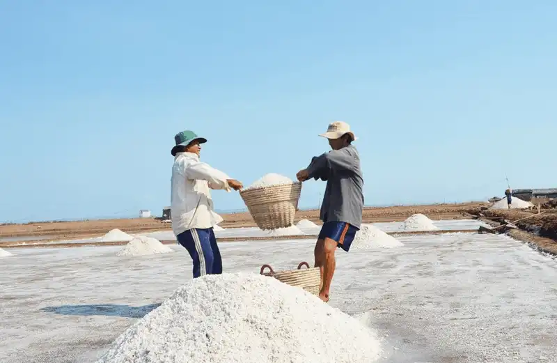 10 điểm đến không thể bỏ qua khi du lịch Bạc Liêu 6 wanderlust tips 10 diem den khong the bo qua khi du lich bac lieu 2