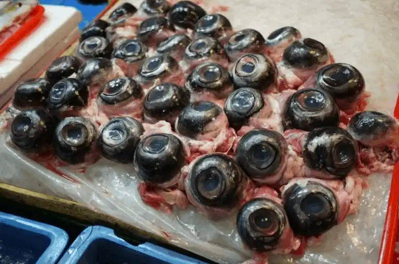 wanderlust tips 10 mon dac san noi tieng chau thach thuc long can dam cua thuc khach 4