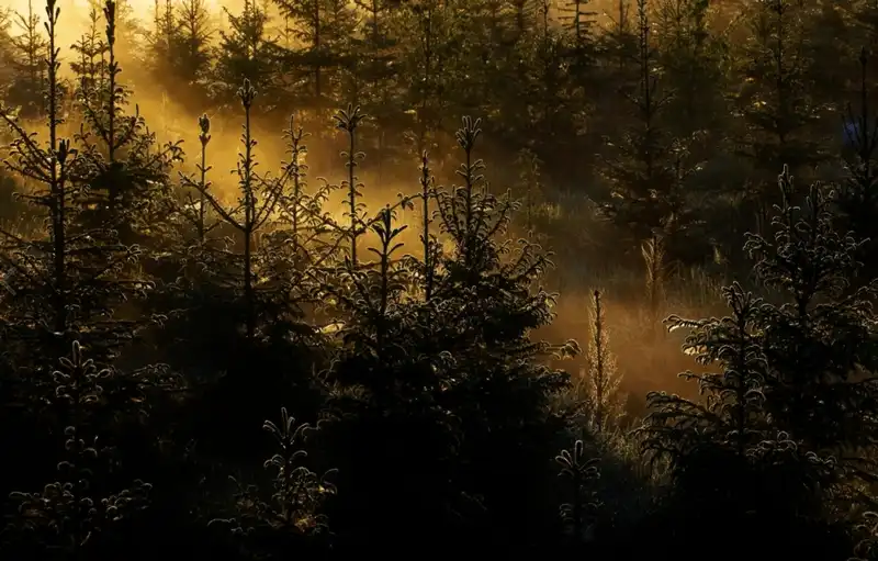 wanderlust tips 15 buc anh khien ban muon den phan lan luon va ngay 10