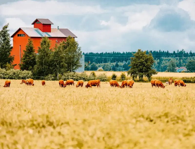 wanderlust tips 15 buc anh khien ban muon den phan lan luon va ngay 9