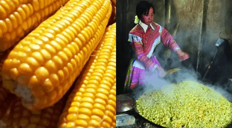 wanderlust tips 16 dac san xu tuyen niu chan du khach 13