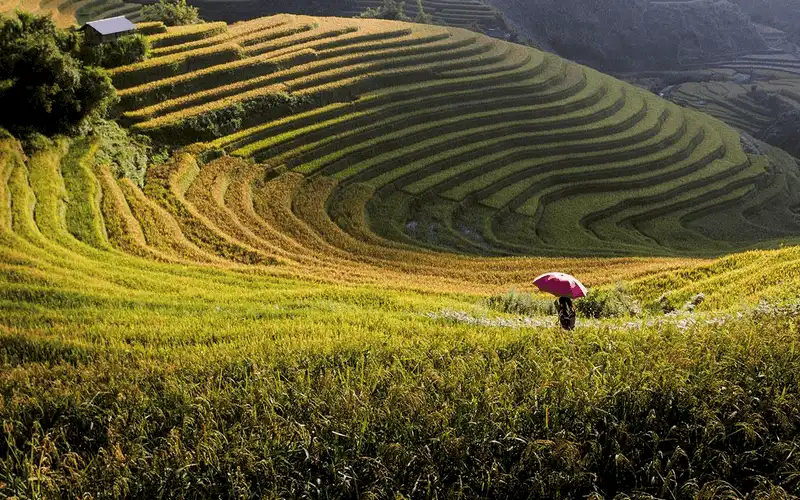 wanderlust tips Viet Nam lot vao top 20 quoc ia dep nhat the gioi 11