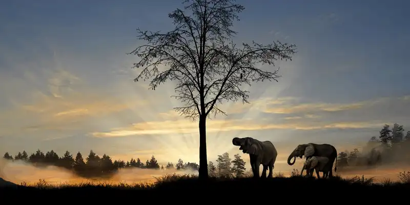 Việt Nam lọt vào top 20 quốc gia đẹp nhất thế giới 20 wanderlust tips Viet Nam lot vao top 20 quoc ia dep nhat the gioi16