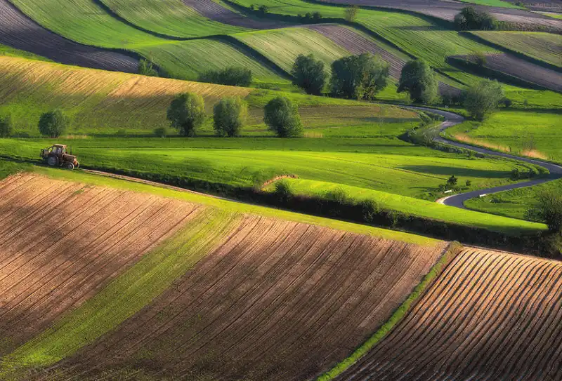 wanderlust tips bo anh tuyet dep ve nhung canh dong nhu mien co tich o chau au 12