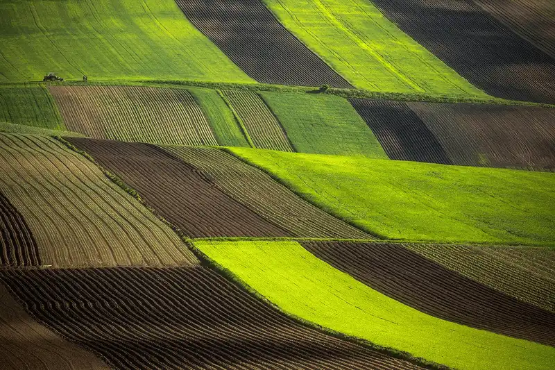 wanderlust tips bo anh tuyet dep ve nhung canh dong nhu mien co tich o chau au 16