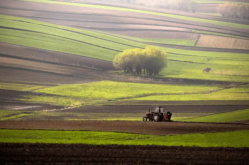 Bộ ảnh tuyệt đẹp về những cánh đồng như miền cổ tích ở châu Âu 9 wanderlust tips bo anh tuyet dep ve nhung canh dong nhu mien co tich o chau au 17