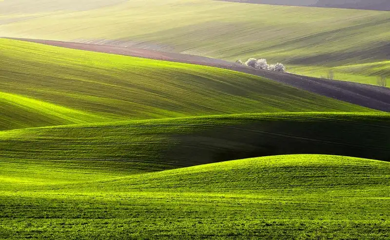 wanderlust tips bo anh tuyet dep ve nhung canh dong nhu mien co tich o chau au 2