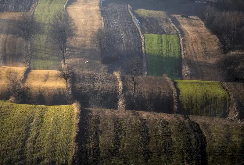 Bộ ảnh tuyệt đẹp về những cánh đồng như miền cổ tích ở châu Âu 6 wanderlust tips bo anh tuyet dep ve nhung canh dong nhu mien co tich o chau au 20