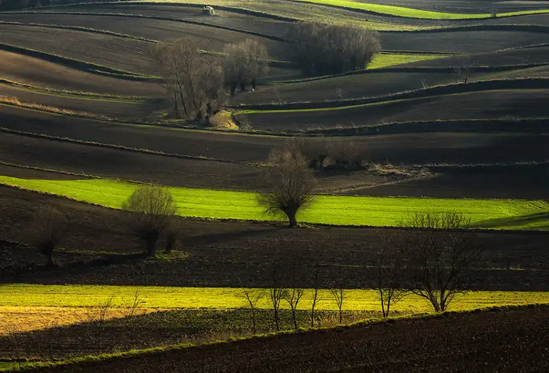 wanderlust tips bo anh tuyet dep ve nhung canh dong nhu mien co tich o chau au 6