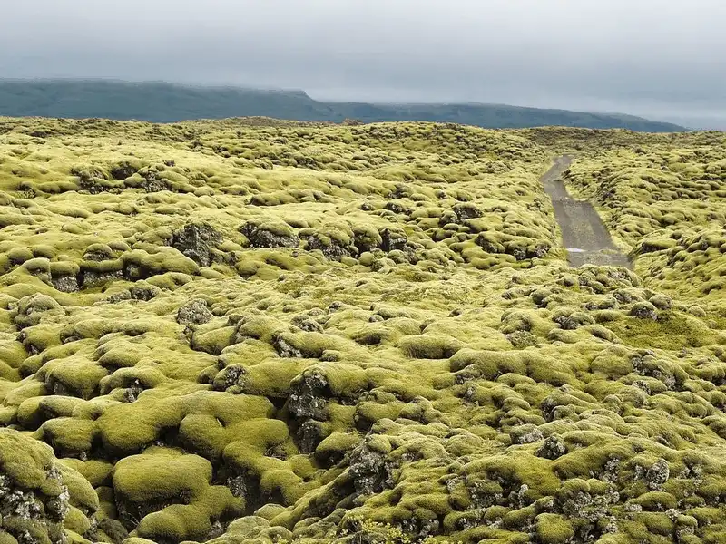 wanderlust tips canh dong dung nham eldraun ve dep la ki o xu iceland 6