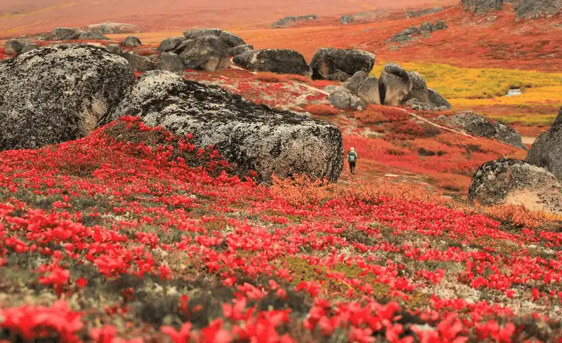 wanderlust tips choang ngop truoc 20 diem den ruc ro sac mau tren gioi 20